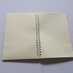 image-Spiral Notebook Motivational Quote - The Best Revenge Is Massive Success - Note Book Writing Pad Successful Attitude Dream Goal