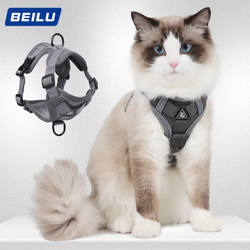 image-Dog Harness for Big Dog Vest Fashion Chest Strap Reflective and Breathable Cat Walking Rope Dog Rope Cat Harness