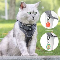 image-Dog Harness for Big Dog Vest Fashion Chest Strap Reflective and Breathable Cat Walking Rope Dog Rope Cat Harness