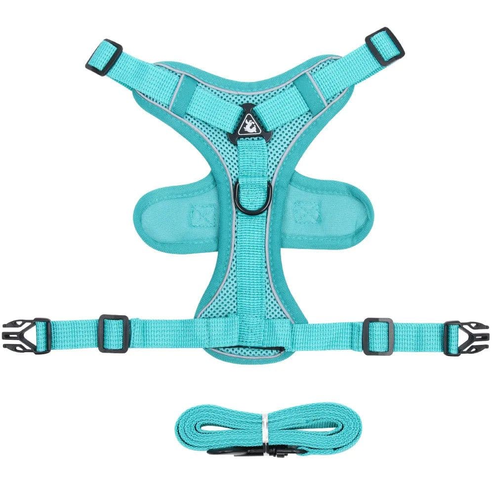 image-Dog Harness for Big Dog Vest Fashion Chest Strap Reflective and Breathable Cat Walking Rope Dog Rope Cat Harness
