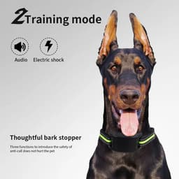 image-USB Rechargeable Dog Training Collars Auto Anti-Bark Collar Safety Static Shock 7 Sensitivity Level Nylon Collar Pet Supplies