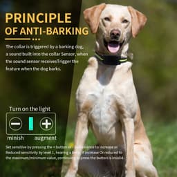 image-USB Rechargeable Dog Training Collars Auto Anti-Bark Collar Safety Static Shock 7 Sensitivity Level Nylon Collar Pet Supplies