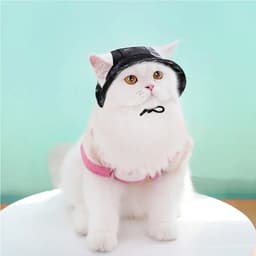 image-Pet Hat With Ear Holes Sunscreen Baseball Cap For Large Medium Small Dogs Summer Dog Cap Sun Hat Outdoor Hiking Hat Pet Product