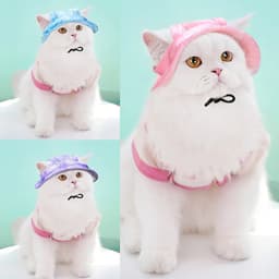image-Pet Hat With Ear Holes Sunscreen Baseball Cap For Large Medium Small Dogs Summer Dog Cap Sun Hat Outdoor Hiking Hat Pet Product