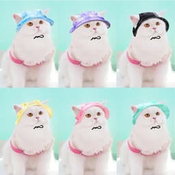 image-Pet Hat With Ear Holes Sunscreen Baseball Cap For Large Medium Small Dogs Summer Dog Cap Sun Hat Outdoor Hiking Hat Pet Product