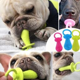 image-1Pc TPR Nipple Dog Toys Small Puppy Cat Bite Best Pet Dogs Supplies For Pet Chew Teething Train Cleaning Poodles