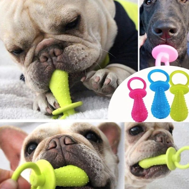 image-1Pc TPR Nipple Dog Toys Small Puppy Cat Bite Best Pet Dogs Supplies For Pet Chew Teething Train Cleaning Poodles