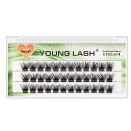 image-YOUNG LASH DIY Eyelashes Cluster Lashes Extensions C D Curl Premade Volume Fans Russian Fake Eyelashes Free Shipping Makeup