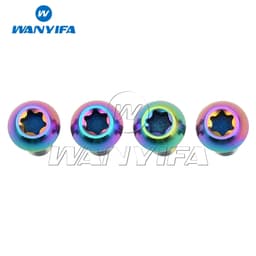image-Wanyifa Titanium Ti Bolt M5x10 12mm Holder Torx Head Bicycle Water Bottle Cage Screws Cycling Bike 4pcs