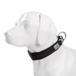 image-TRUELOVE Adjustable Padded Pet Dog CollarComfort and Ventilation Pull-resistant Explosion proof Personalized Printing YC1853