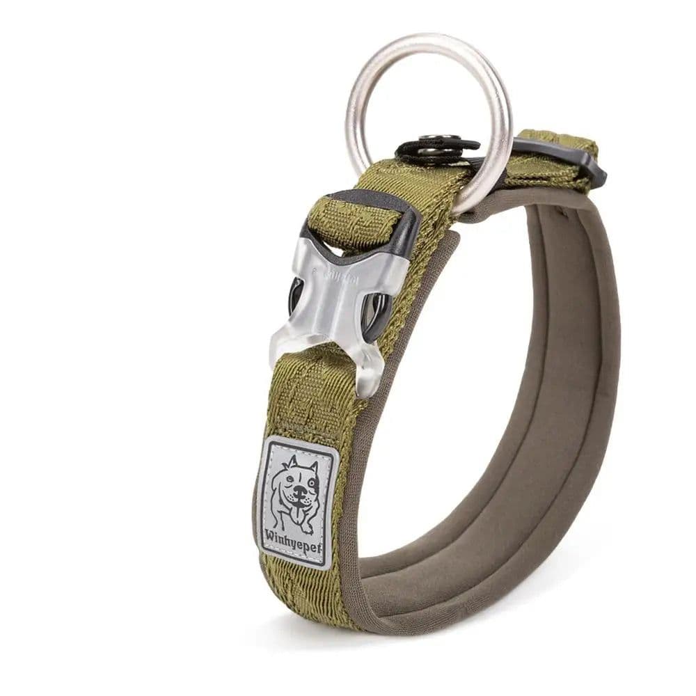 image-TRUELOVE Adjustable Padded Pet Dog CollarComfort and Ventilation Pull-resistant Explosion proof Personalized Printing YC1853