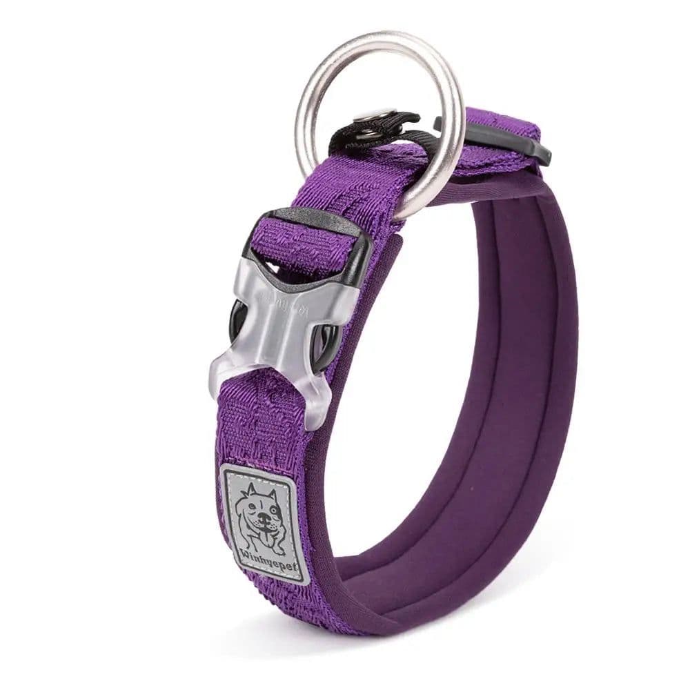 image-TRUELOVE Adjustable Padded Pet Dog CollarComfort and Ventilation Pull-resistant Explosion proof Personalized Printing YC1853