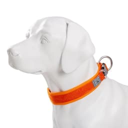 image-TRUELOVE Adjustable Padded Pet Dog CollarComfort and Ventilation Pull-resistant Explosion proof Personalized Printing YC1853