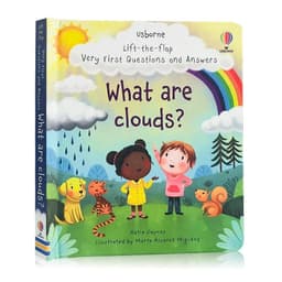 image-Usborne Books Small Size Very First Q&A Lift-the-flap Educational English Book for Kids Popular Science Learning Montessori Toys