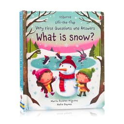 image-Usborne Books Small Size Very First Q&A Lift-the-flap Educational English Book for Kids Popular Science Learning Montessori Toys