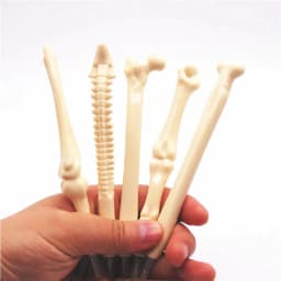 image-Different Styles Pen Bone Shape Ballpoint Pen New Creative School Office Stationery Free shipping