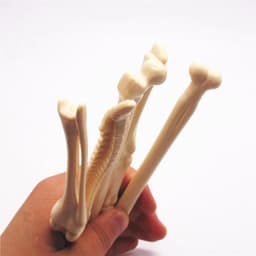 image-Different Styles Pen Bone Shape Ballpoint Pen New Creative School Office Stationery Free shipping