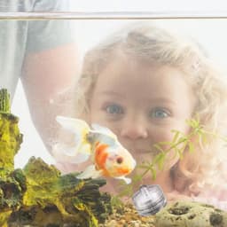 image-Waterproof LED Lights For Vases Flameless Battery Operated Pond Underwater Small Tealights Aquarium Decoration Novelty Lighting