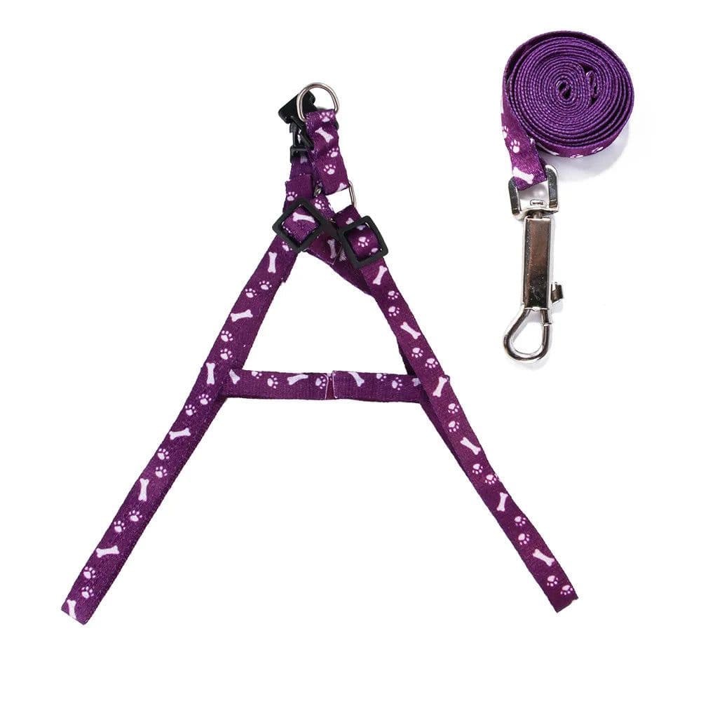 image-Cheap Small Dog Leash Puppy Leashes Teddy Pet Leash And Harness Set Cute Lead Rope Set Cat Kitten Leash Pet Things Decoration