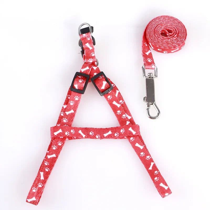 image-Cheap Small Dog Leash Puppy Leashes Teddy Pet Leash And Harness Set Cute Lead Rope Set Cat Kitten Leash Pet Things Decoration