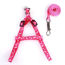 image-Cheap Small Dog Leash Puppy Leashes Teddy Pet Leash And Harness Set Cute Lead Rope Set Cat Kitten Leash Pet Things Decoration