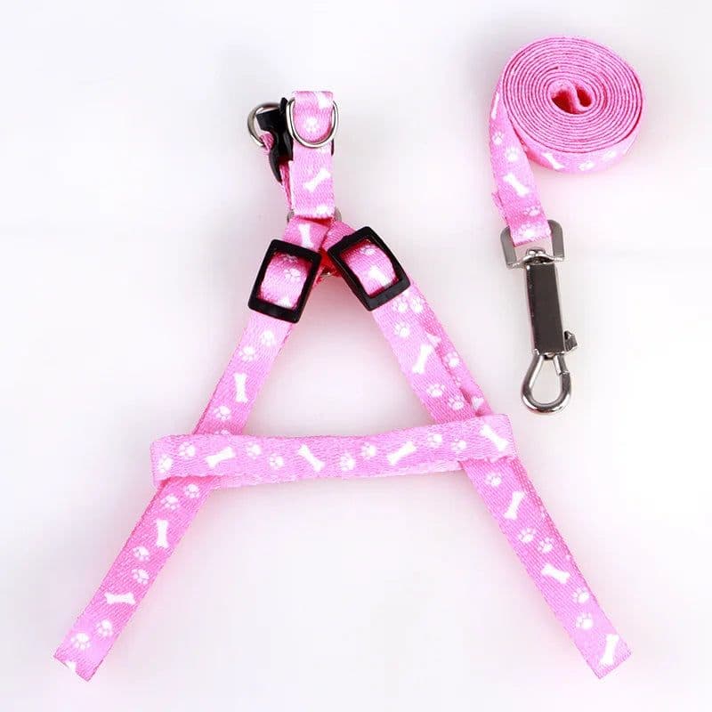 image-Cheap Small Dog Leash Puppy Leashes Teddy Pet Leash And Harness Set Cute Lead Rope Set Cat Kitten Leash Pet Things Decoration