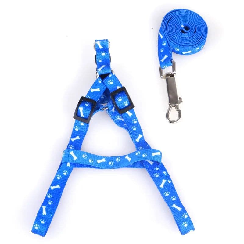 image-Cheap Small Dog Leash Puppy Leashes Teddy Pet Leash And Harness Set Cute Lead Rope Set Cat Kitten Leash Pet Things Decoration
