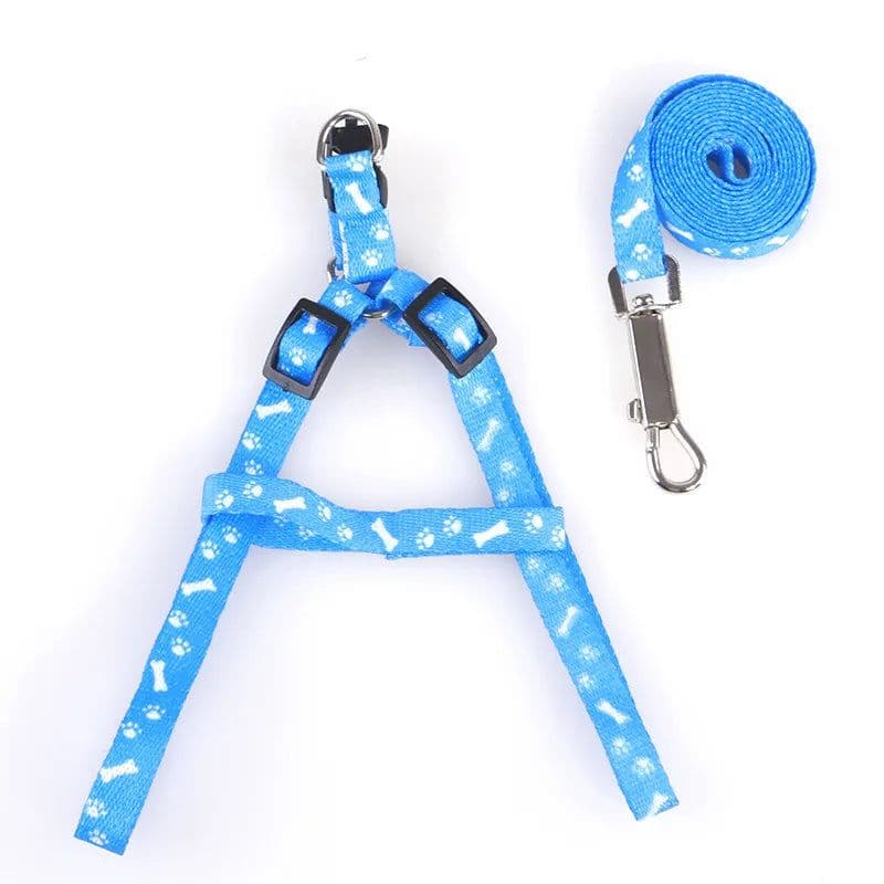 image-Cheap Small Dog Leash Puppy Leashes Teddy Pet Leash And Harness Set Cute Lead Rope Set Cat Kitten Leash Pet Things Decoration