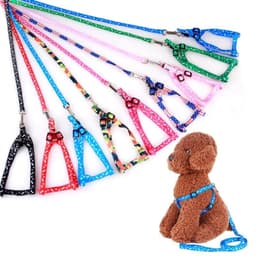 image-Cheap Small Dog Leash Puppy Leashes Teddy Pet Leash And Harness Set Cute Lead Rope Set Cat Kitten Leash Pet Things Decoration