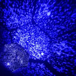image-Factory Direct Star Projection Lamp