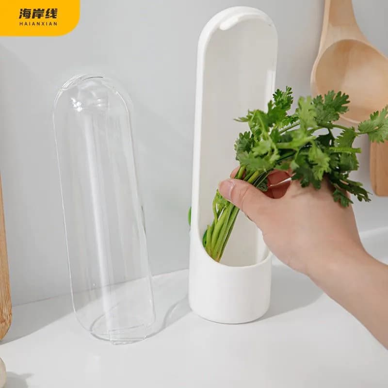 image-Coastline Herb Storage Box 400ML