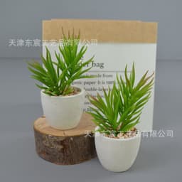 image-Dongchen Craftsmanship Artificial Succulent Plant Pot