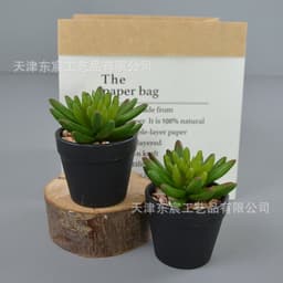 image-Dongchen Craftsmanship Artificial Succulent Plant Pot