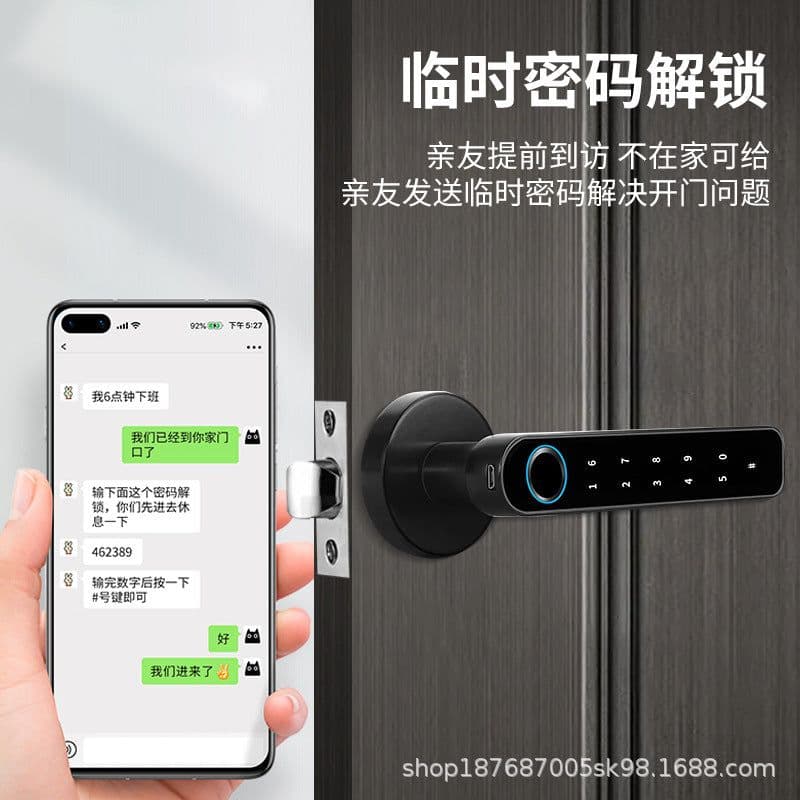 image-Wangle Smart Lock TY196 Fingerprint Bluetooth