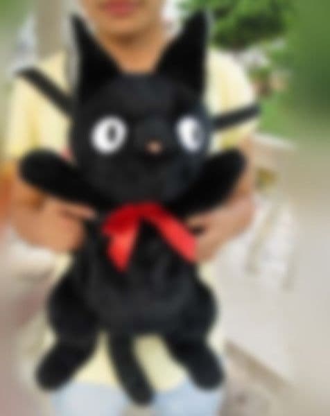 image-Black Cat Ghost Plush Toy