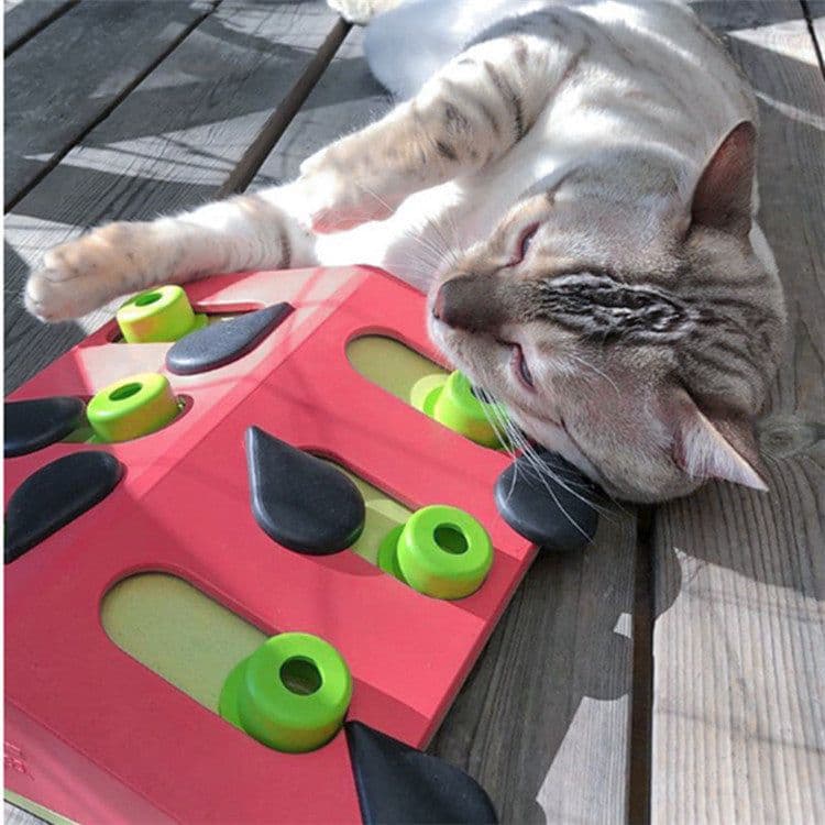 image-Cat Scratching Post with Slow Food Feeder
