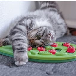 image-Cat Scratching Post with Slow Food Feeder