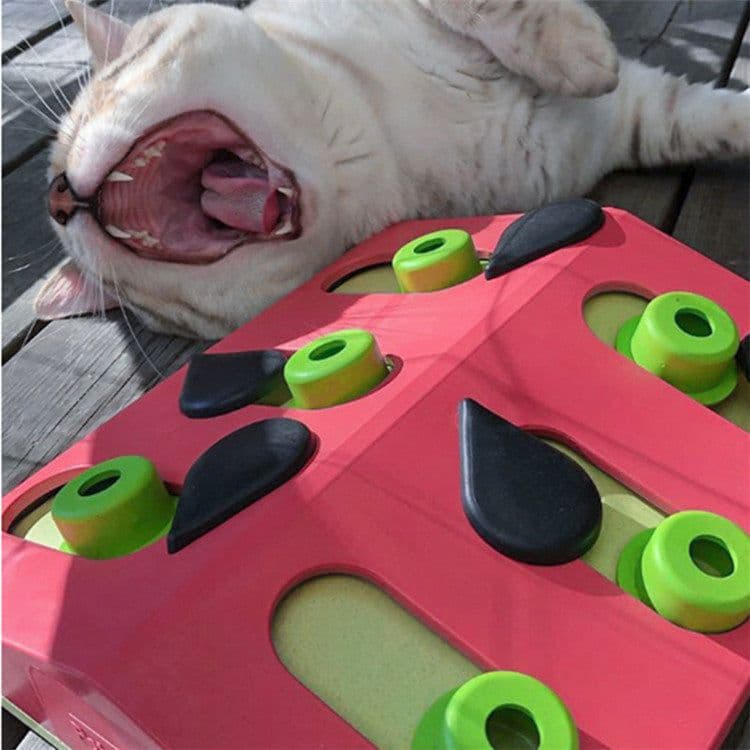 image-Cat Scratching Post with Slow Food Feeder