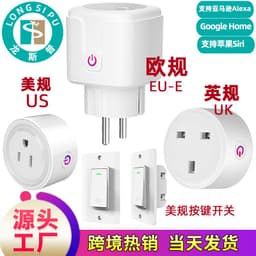 image-Tuya WiFi Smart Socket 13A/16A Multi-Standard