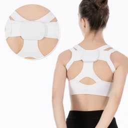 image-Blue Fox Posture Correction Belt XXL