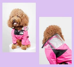 image-Puppy Raincoat for Small Dogs, 4XL