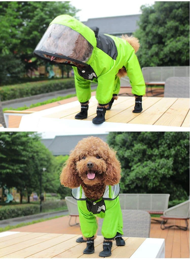 image-Puppy Raincoat for Small Dogs, 4XL