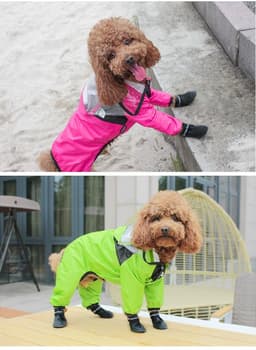 image-Puppy Raincoat for Small Dogs, 4XL
