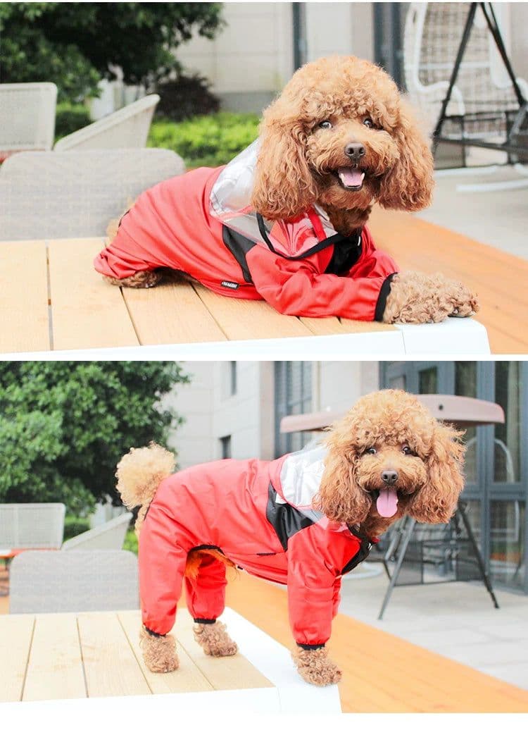 image-Puppy Raincoat for Small Dogs, 4XL