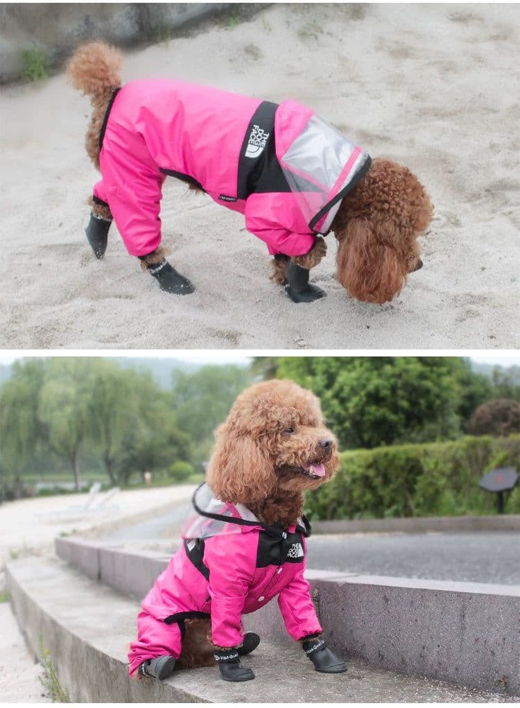 image-Puppy Raincoat for Small Dogs, 4XL