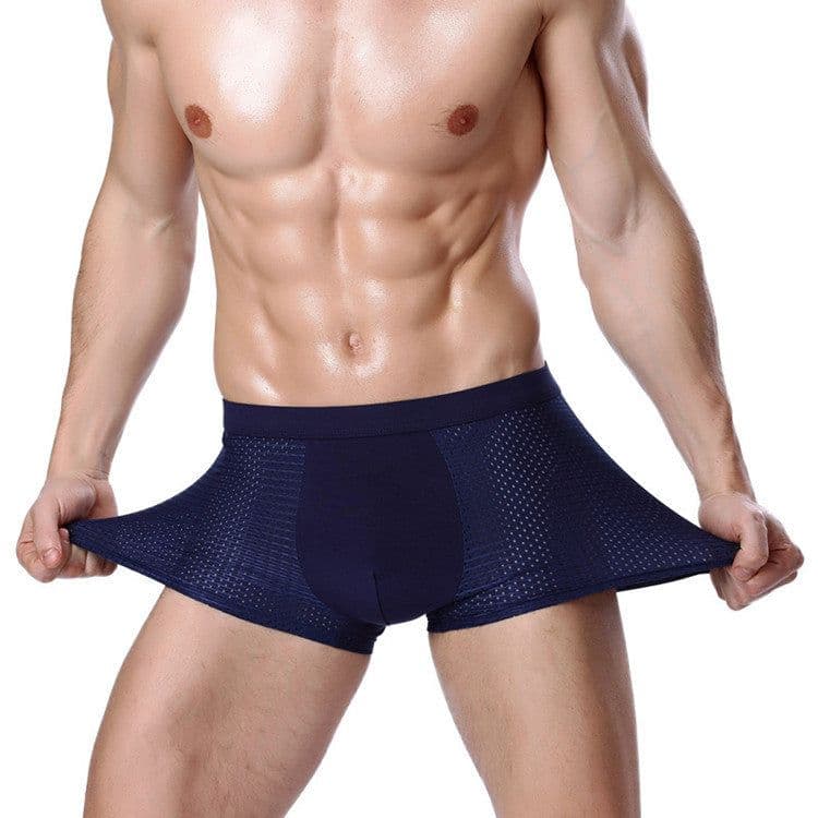 image-Men's Modal Boxer Briefs Ice Silk Mesh 5XL