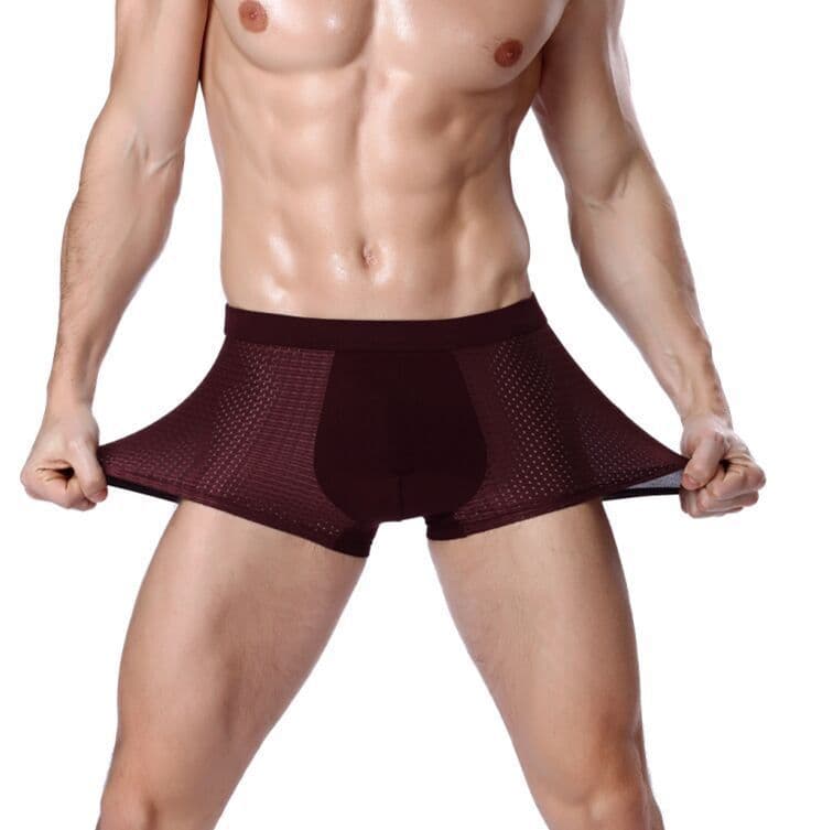 image-Men's Modal Boxer Briefs Ice Silk Mesh 5XL