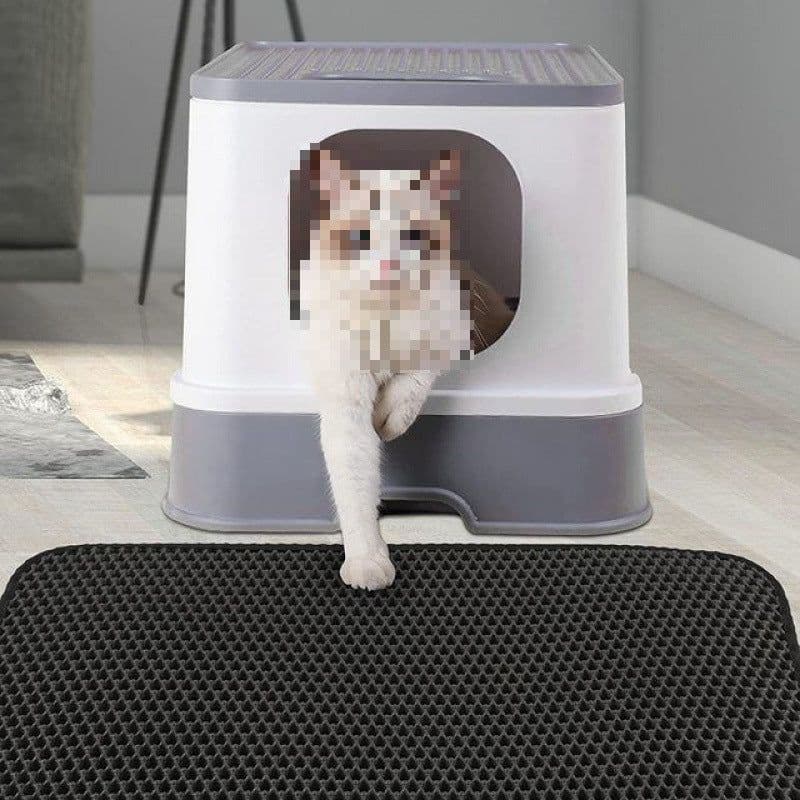 image-Cat Litter Mat Double-Layer Anti-Splash 55x75cm
