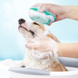 image-Tianyuan Pet Bath Massage Brush Mouse Shape Dog