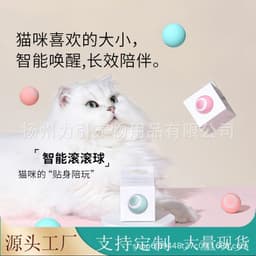 image-Cross-Border Gravity Smart Rolling Ball Cat Toy